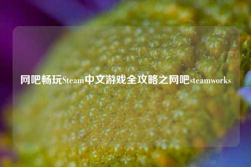 网吧畅玩Steam中文游戏全攻略之网吧steamworks
