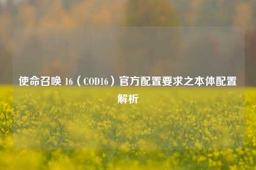 使命召唤 16(COD16)官方配置要求之本体配置解析
