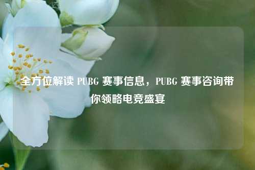 全方位解读 PUBG 赛事信息，PUBG 赛事咨询带你领略电竞盛宴