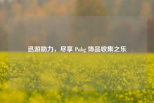 迅游助力,尽享 Pubg 饰品收集之乐