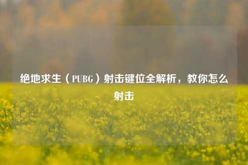 绝地求生(PUBG)射击键位全解析,教你怎么射击