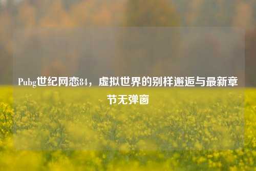 Pubg世纪网恋84,虚拟世界的别样邂逅与最新章节无弹窗