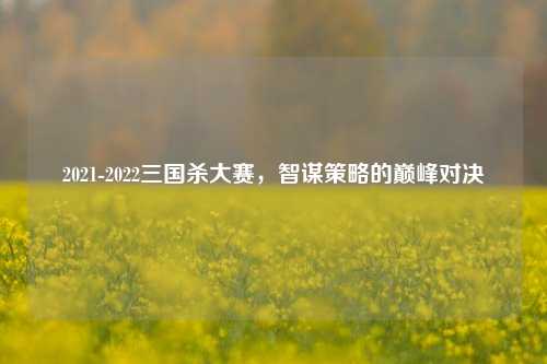 2021-2022三国杀大赛，智谋策略的巅峰对决