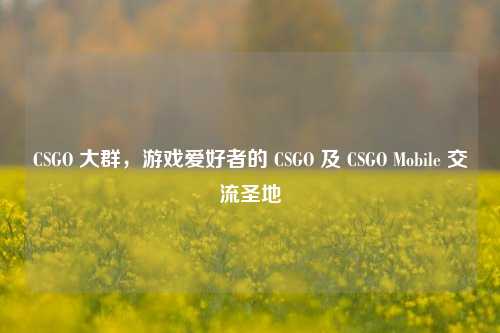CSGO 大群,游戏爱好者的 CSGO 及 CSGO Mobile 交流圣地