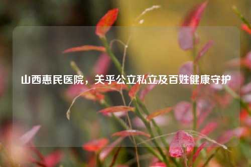山西惠民医院，关乎公立私立及百姓健康守护