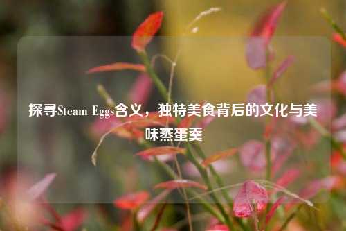 探寻Steam Eggs含义,独特美食背后的文化与美味蒸蛋羹