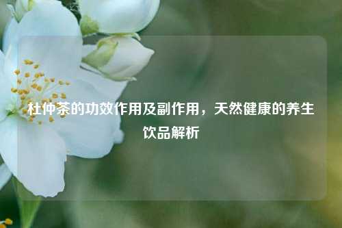 杜仲茶的功效作用及副作用，天然健康的养生饮品解析
