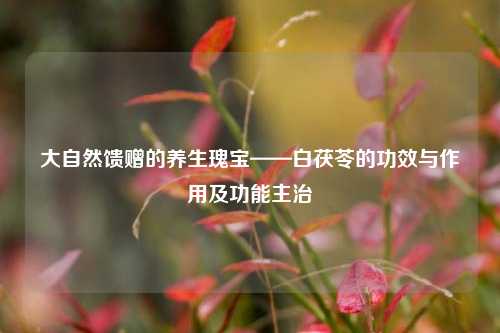 大自然馈赠的养生瑰宝——白茯苓的功效与作用及功能主治