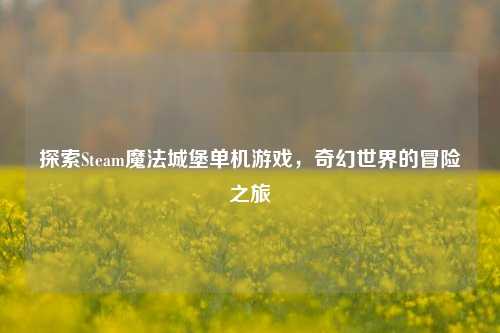 探索Steam魔法城堡单机游戏,奇幻世界的冒险之旅