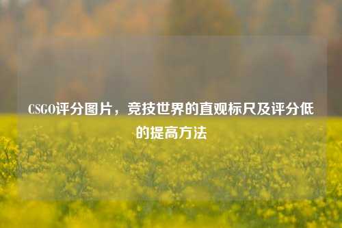 CSGO评分图片,竞技世界的直观标尺及评分低的提高方法