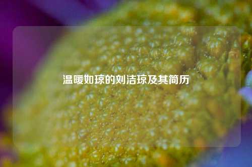 温暖如琼的刘洁琼及其简历
