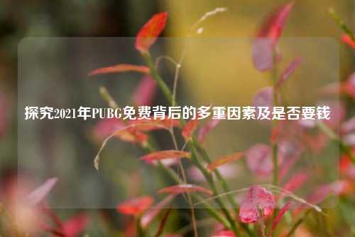 探究2021年PUBG免费背后的多重因素及是否要钱