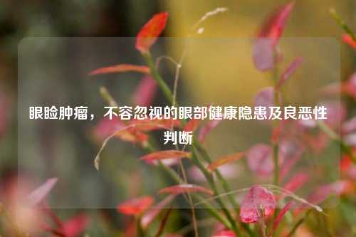 眼睑肿瘤,不容忽视的眼部健康隐患及良恶性判断