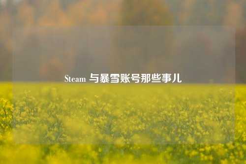 Steam 与暴雪账号那些事儿