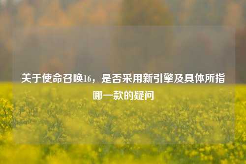 关于使命召唤16,是否采用新引擎及具体所指哪一款的疑问