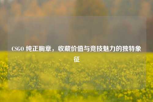 CSGO 纯正胸章，收藏价值与竞技魅力的独特象征