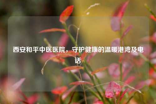西安和平中医医院，守护健康的温暖港湾及电话