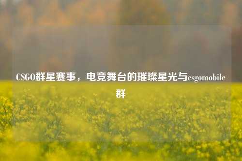 CSGO群星赛事,电竞舞台的璀璨星光与csgomobile群