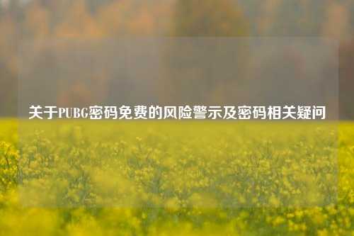 关于PUBG密码免费的风险警示及密码相关疑问