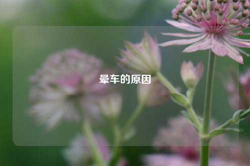 晕车的原因