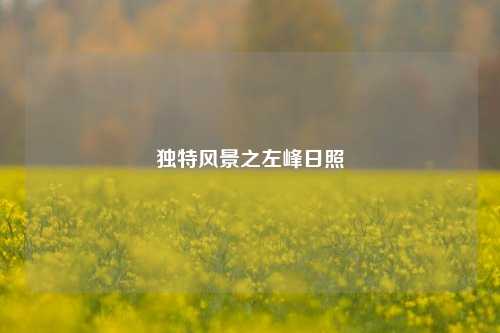 独特风景之左峰日照