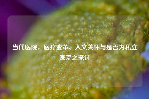 当代医院，医疗变革、人文关怀与是否为私立医院之探讨