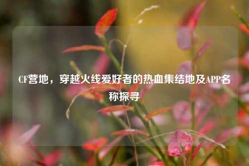 CF营地，穿越火线爱好者的热血集结地及APP名称探寻