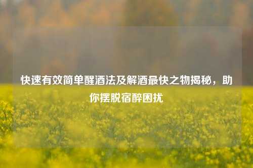 快速有效简单醒酒法及解酒最快之物揭秘,助你摆脱宿醉困扰