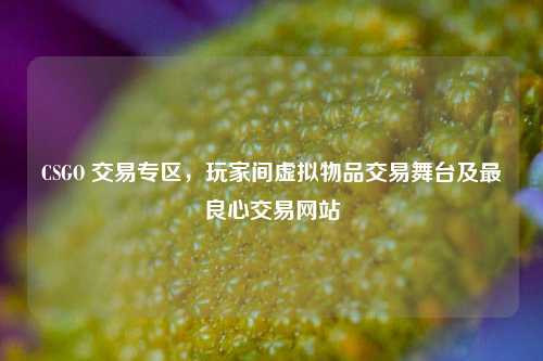 CSGO 交易专区,玩家间虚拟物品交易舞台及最良心交易网站