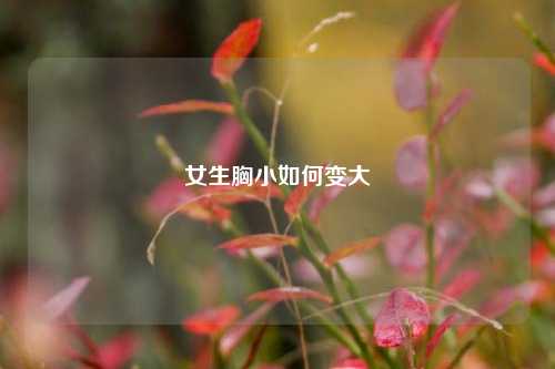 女生胸小如何变大