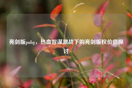 亮剑版pubg,热血智谋激战下的亮剑版权价值探讨