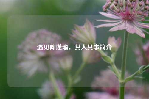 遇见陈瑾瑜，其人其事简介