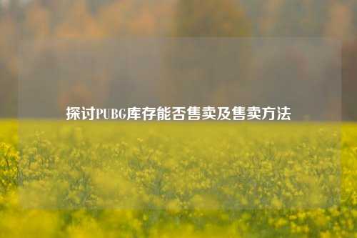 探讨PUBG库存能否售卖及售卖方法