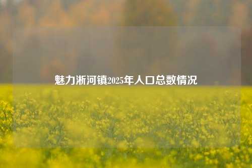 魅力淅河镇2025年人口总数情况