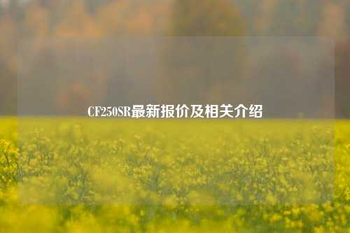 CF250SR最新报价及相关介绍