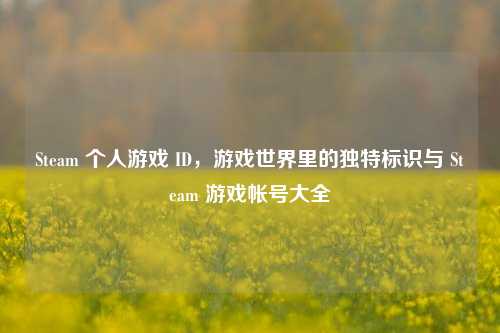 Steam 个人游戏 ID，游戏世界里的独特标识与 Steam 游戏帐号大全