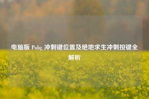 电脑版 Pubg 冲刺键位置及绝地求生冲刺按键全解析