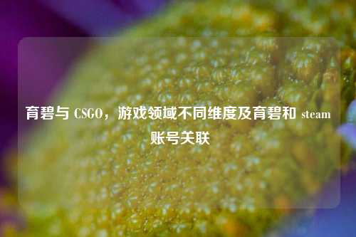 育碧与 CSGO，游戏领域不同维度及育碧和 steam 账号关联