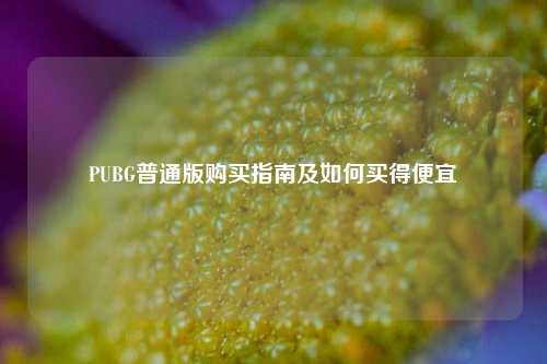 PUBG普通版购买指南及如何买得便宜