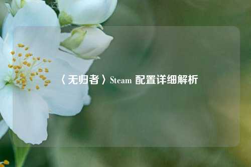 〈无归者〉Steam 配置详细解析