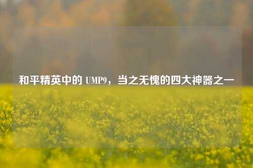 和平精英中的 UMP9,当之无愧的四大神器之一