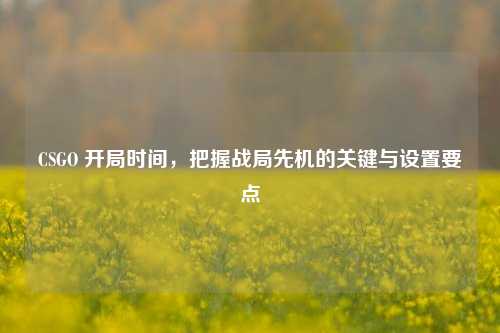 CSGO 开局时间,把握战局先机的关键与设置要点