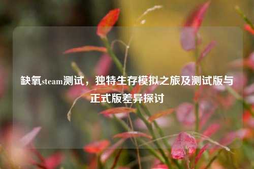 缺氧steam测试，独特生存模拟之旅及测试版与正式版差异探讨