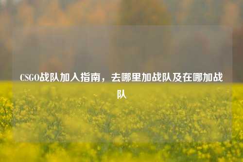 CSGO战队加入指南，去哪里加战队及在哪加战队
