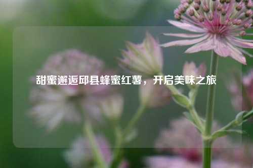 甜蜜邂逅邱县蜂蜜红薯,开启美味之旅