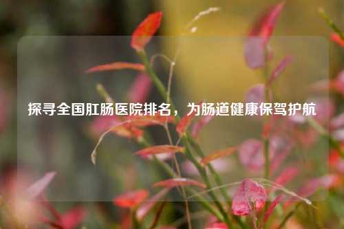 探寻全国肛肠医院排名，为肠道健康保驾护航