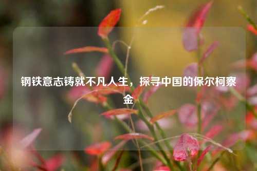 钢铁意志铸就不凡人生,探寻中国的保尔柯察金