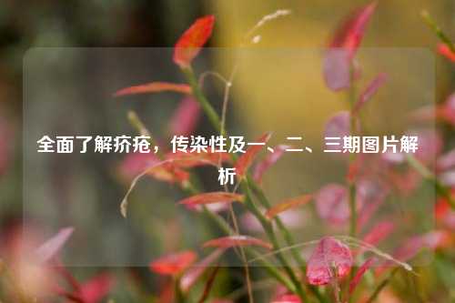 全面了解疥疮,传染性及一、二、三期图片解析
