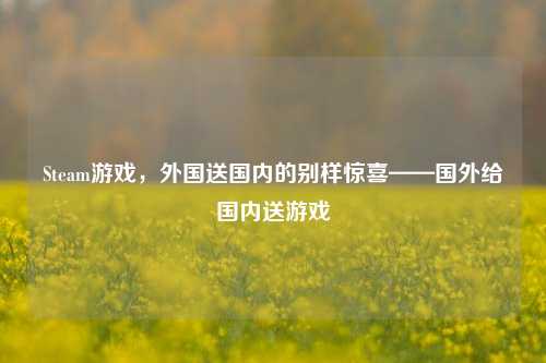 Steam游戏,外国送国内的别样惊喜——国外给国内送游戏