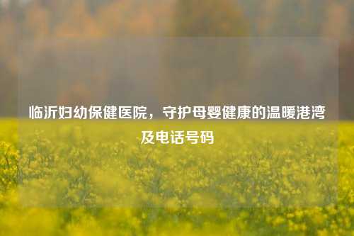 临沂妇幼保健医院，守护母婴健康的温暖港湾及电话号码